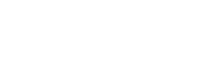 Vistex